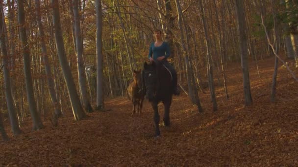 MOVIMIENTO Lento: Mujer caucásica montando un caballo trota a lo largo de un sendero forestal vacío — Vídeos de Stock