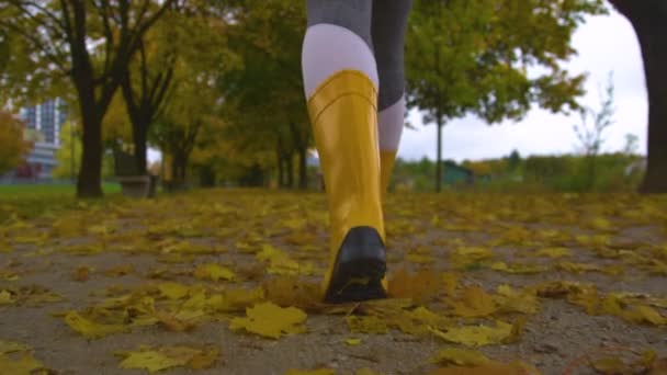 特写：11月，年轻的女性探索美丽的秋色公园. — 图库视频影像