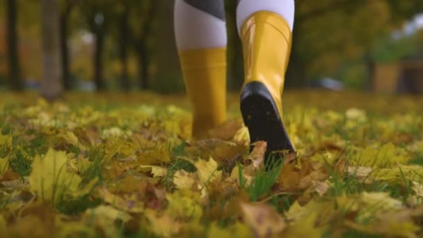 ÁNGULO BAJO: Mujer irreconocible camina en botas de goma alrededor de un parque de color otoño — Vídeo de stock