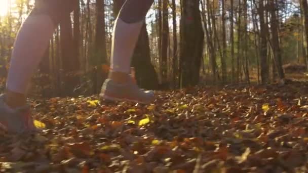 FAIBLE ANGLE : Faire du jogging féminin le long d'un sentier forestier éclairé par le soleil couchant. — Video
