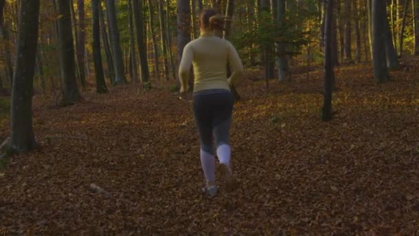 SLOW MOTION: Młoda kobieta w żółtym swetrze biegnie wzdłuż leśnego szlaku. — Wideo stockowe