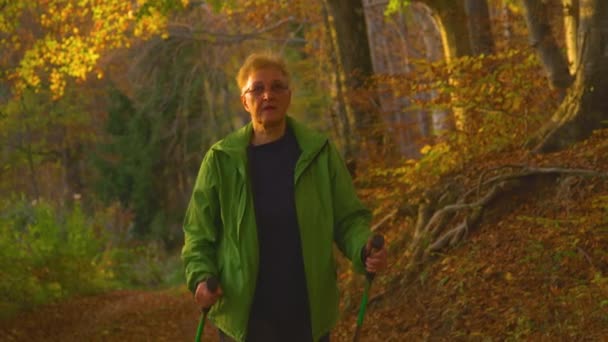 ZAMKNIJ SIĘ: Starsza kaukaska kobieta spaceruje malowniczym leśnym szlakiem o zachodzie słońca. — Wideo stockowe