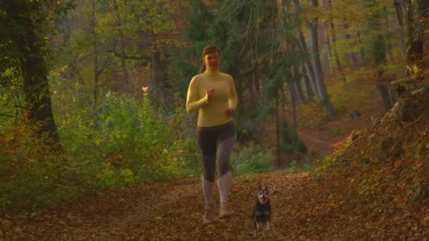 慢动作：一个女人和她的狗在秋天的森林里奔跑的电影镜头 — 图库视频影像