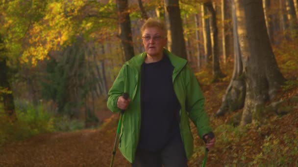 Nah dran: Seniorin wandert auf Pfad durch herbstfarbenen Wald. — Stockvideo