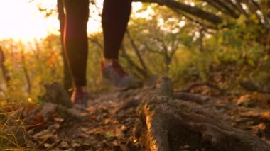 Tanınmayan kadın, altın gün doğumunda yürürken bir köke basıyor..