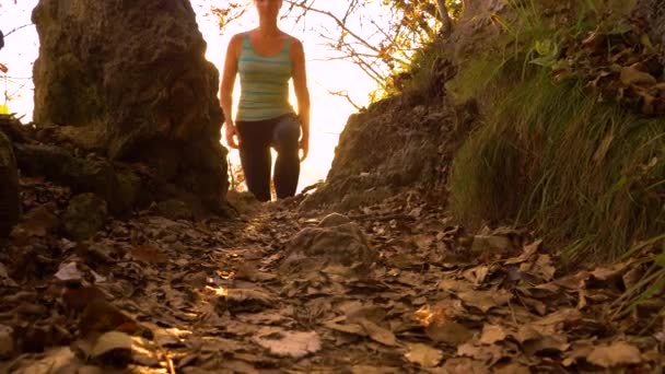 LOW ANGLE: Golden autumn evening sunbeams shine on young woman hiking uphill. — Stock Video