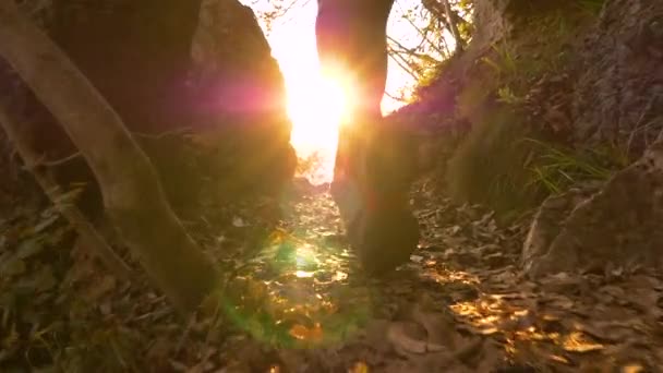 BAIXA ÂNGULO: Mulher caucasiana irreconhecível caminha ao longo de uma trilha cênica ao nascer do sol. — Vídeo de Stock