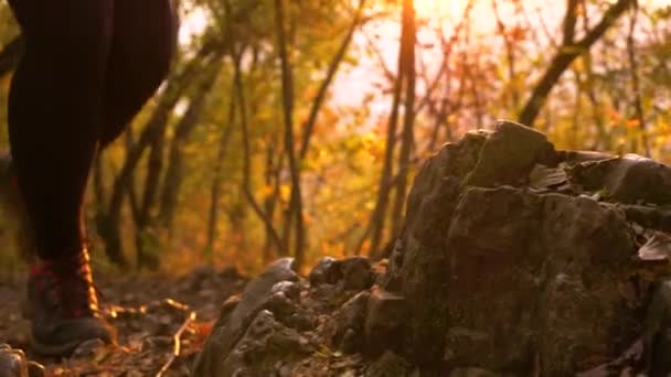 LENS FLARE: Hiker langkah-langkah di atas batu saat menjelajahi jalan pada malam musim gugur yang cerah — Stok Video
