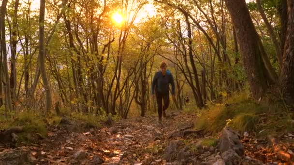 LENS FLARE: Ung kvinna vandrar uppför en kulle i höstfärgad skog vid solnedgången. — Stockvideo