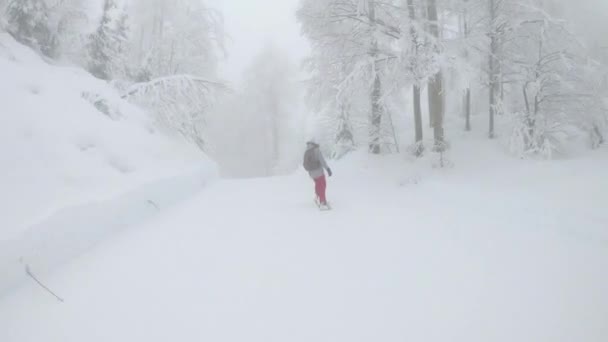 Freeride snowboarder βόλτες κατά μήκος περιποιημένο μονοπάτι που οδηγεί μέσα από το ομιχλώδες δάσος. — Αρχείο Βίντεο