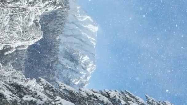 VERTICAL: Γραφική θέα του πευκοδάσους κάτω από τα χιονισμένα βουνά στις Julian Alps. — Αρχείο Βίντεο