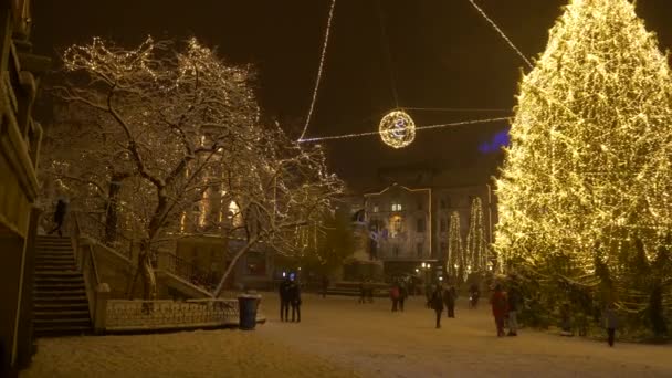Shot of a Christmas tree lit up in the middle of Preseren Square in Ljubljana. — 图库视频影像