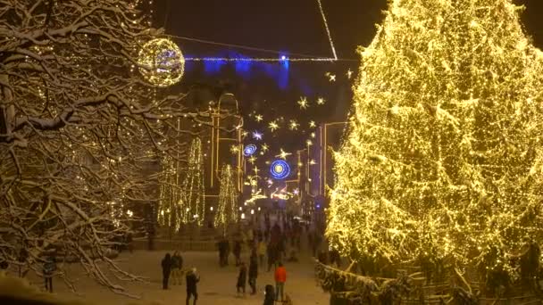 Vibrant Christmas lights illuminate Preseren Square on a cold winter night. — 图库视频影像