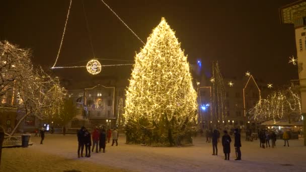 Noel ağacı soğuk Aralık akşamı Ljubljana 'daki Preseren Meydanı' nı aydınlatıyor.. — Stok video
