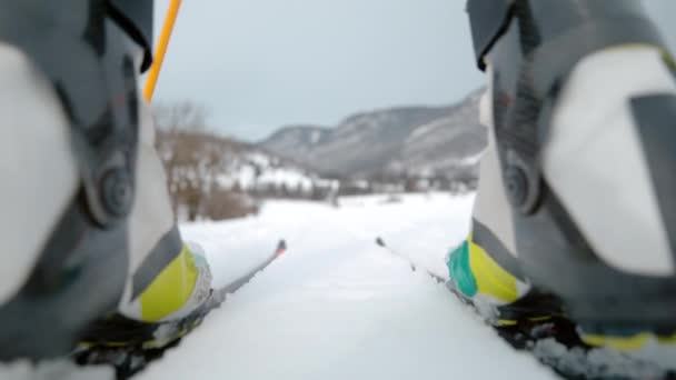 ÁNGULO BAJO: El esquí nórdico de mujer empuja sus bastones y esquís a lo largo de dos pistas. — Vídeos de Stock