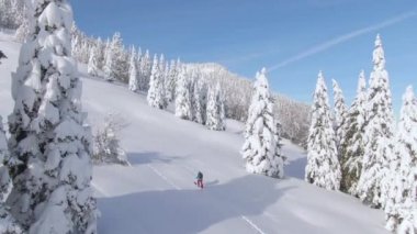 AERİAL Genç bayan turist kar ayakkabıları karlı bir tepede snowboard gezisi sırasında