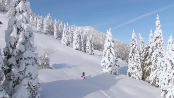 AERIAL Joven turista raquetas de nieve subiendo una colina nevada durante un viaje de snowboard — Vídeos de Stock