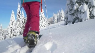 Bohinj 'de bir kadın taze karla kaplı tepede yürüyor..