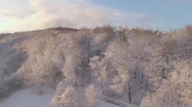 Güneşin doğuşunda karlı kırsal arazinin manzaralı insansız hava aracı bakış açısı.