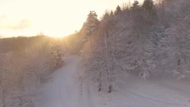 白羊座：金色的冬日清晨，阳光照射在田园诗般的雪地上. — 图库视频影像