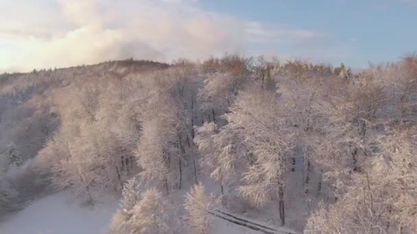 AERIAL: Scenic drone point of view of the snowy rural landscape at sunrise. — 图库视频影像