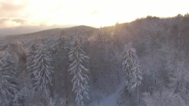 Kış sabahı güneş ışıkları kırsal alanlarda parlıyor, taze karla kaplı..