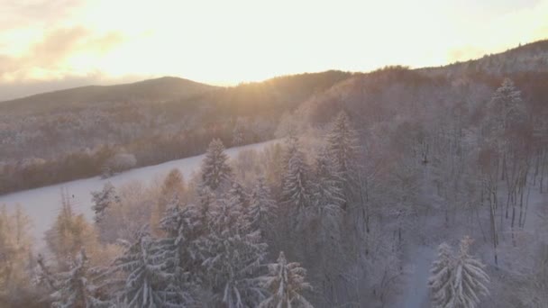 AERIAL: Drone szempontból a napfelkelte világítja meg a téli táj. — Stock videók