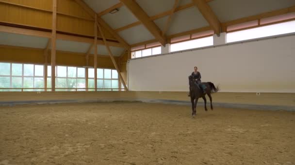 Movimiento lento: Caballo oscuro baila durante el entrenamiento de trabajo plano con la mujer feliz. — Vídeo de stock