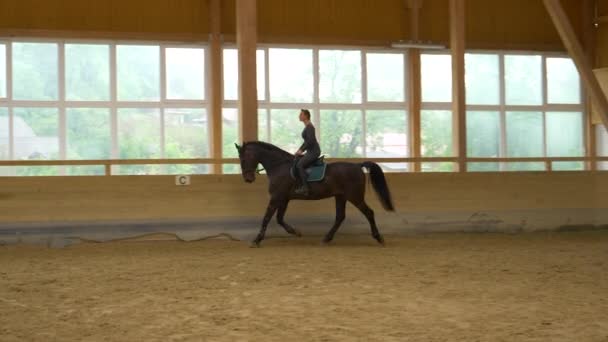 SLOW MOTION: Woman horseback riding indoors warms up her dark brown stallion. — Stock Video