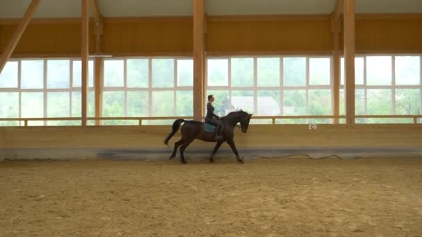 SLOW MOTION: Rider practices cantering with her gelding during flatwork practice — 图库视频影像