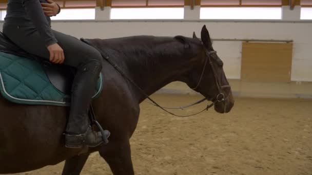 CLOSE UP: Young woman cools down her horse after intense dressage training. — Vídeo de Stock