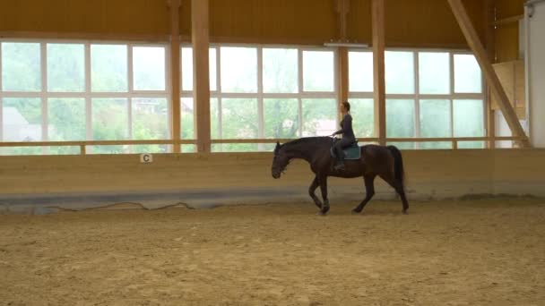SLOW MOTION: Female horseback rider cools down her horse after dressage training — 图库视频影像