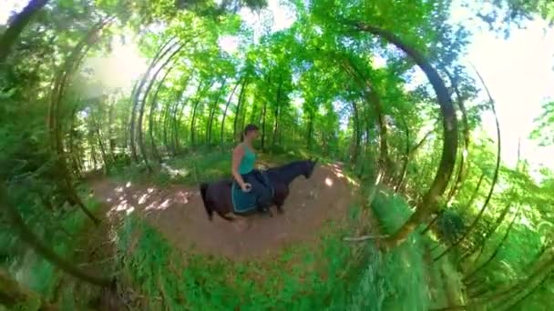 SELFIE: Young female rider leads her horse across the forest on sunny summer day — Stockvideo