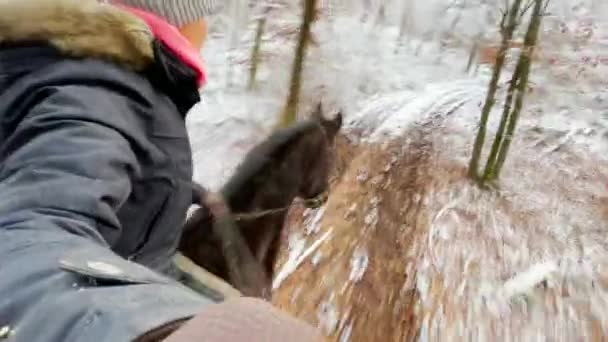 SELFIE: Young woman leads her horse along a forest trail on a cold winter day. — Stock videók