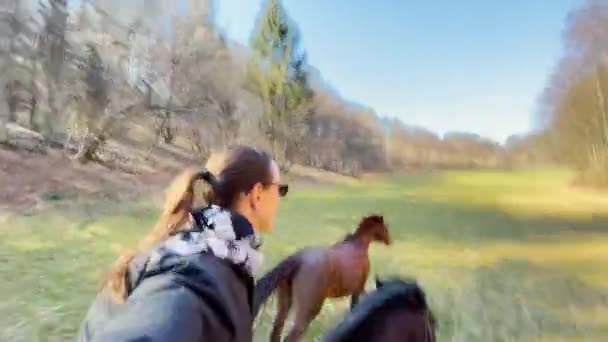 SELFIE: Cheerful young woman gallops across a meadow on a sunny autumn day. — ストック動画