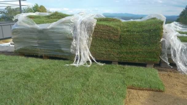 CLOSE UP: Unpacked patches of artificial grass lie stacked next to a backyard. — Stockvideo