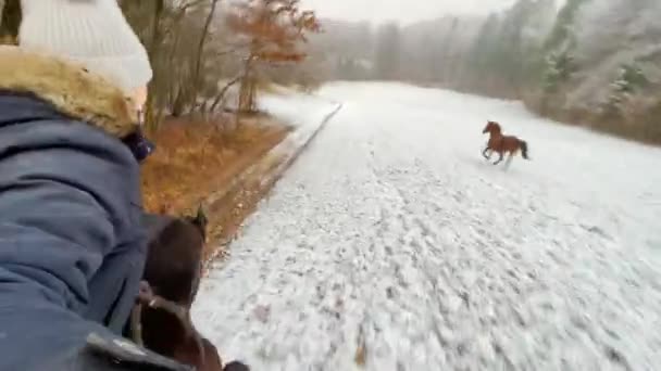 SELFIE: Mujer feliz consigue que sus caballos galopen mientras explora el campo invernal — Vídeo de stock