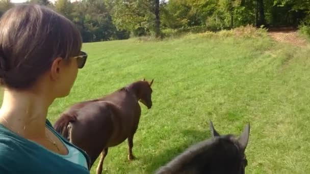 SELFIE: Joyful Caucasian woman rides her horses across a meadow and into forest — Stockvideo