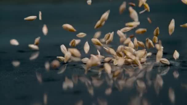 MACRO : Mélange de graines de lin et de grains séchés éparpillés sur une table noire brillante. — Video