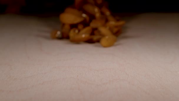 MACRO, DOF: Tørkede mandler glir langs treoverflaten på en pakningsmaskin. – stockvideo