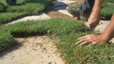 Erkek peyzajcı keskin bir endüstriyel bıçakla bir parça ot kesiyor..