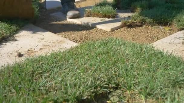 CHIUSURA: Maschio appaltatore pone un pezzo di erba tra due piastrelle di cemento. — Video Stock