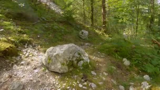 젊은 남자 관광객 이 전기 자전거를 타고 소바 골짜기의 숲 속 오솔길을 따라 내려간다. — 비디오