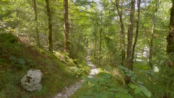 Homem em férias ativas nas montanhas eslovenas monta um ebike em torno da floresta. — Vídeo de Stock