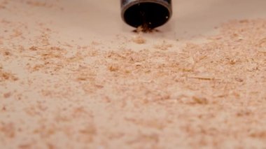 Siyah elektrikli süpürge hortumu odun parçalarını ve talaşları emer..