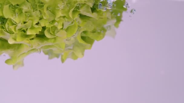 COPY SPACE: Ein Kopf Römersalat fällt in einen Behälter voller Süßwasser — Stockvideo