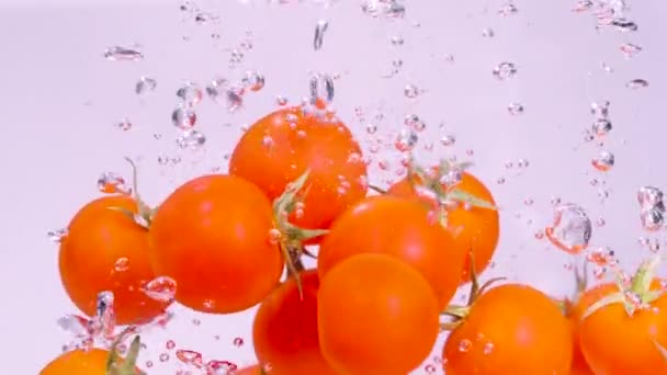 COMPROMISSO: Pequenos tomates vermelhos caindo e salpicando na água fria fresca — Vídeo de Stock
