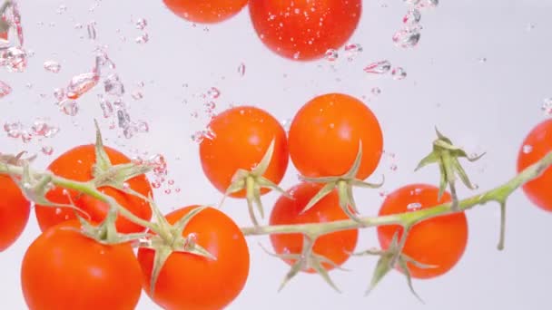 Спелые помидоры черри падают в контейнер, полный холодной воды. — стоковое видео