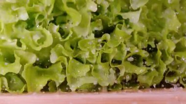 Ahşap kesim tahtasına düşen buzdağı marulunun detaylı görüntüsü..