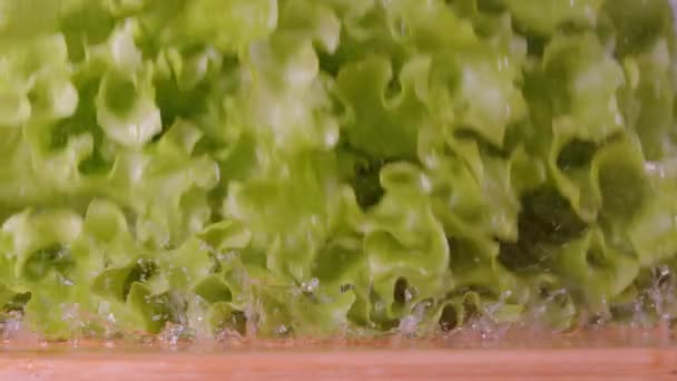 MACRO, DOF: Leafy head of romaine salce falls on the empty chopping board. — Stock video